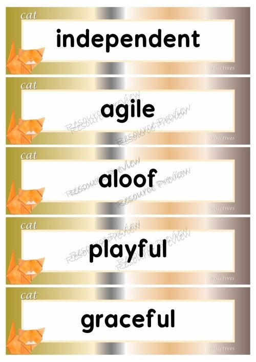 Adjectives - cat 40 words