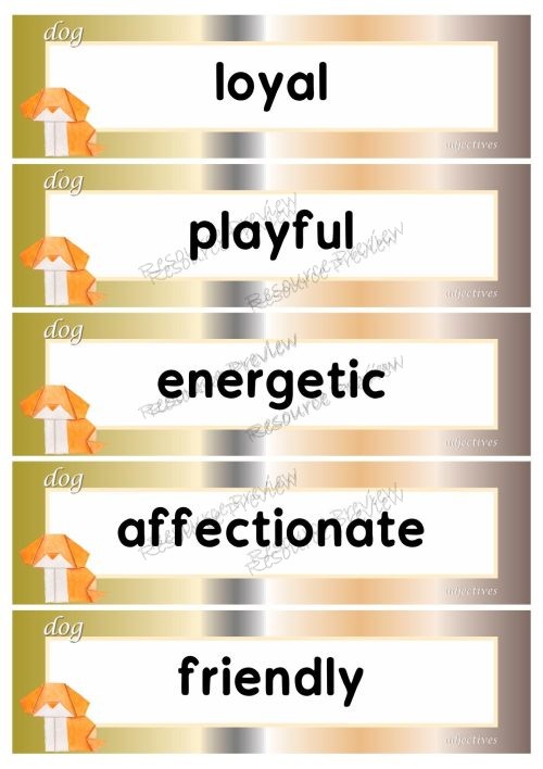 Adjectives - dog 40 words
