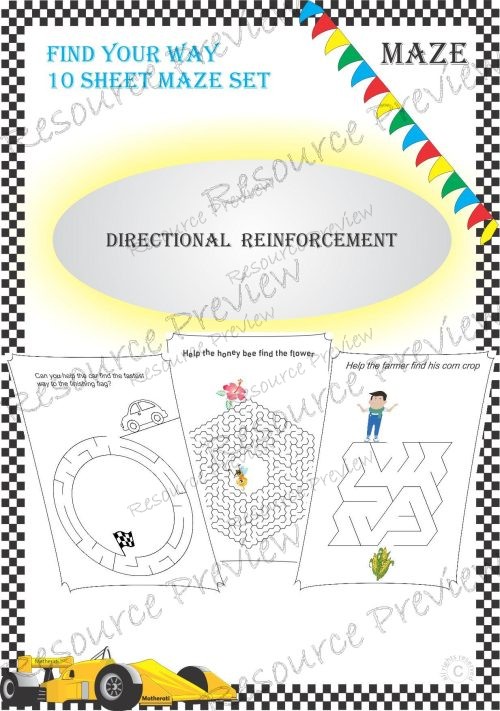 Directional Reinforcement Maze Set