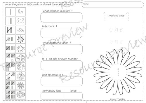 Number sense Write and Wipe 1-20 - Image 3