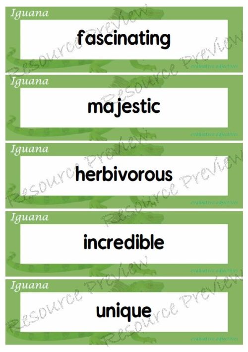 Evaluative adjectives - Iguana 35 words - Image 2