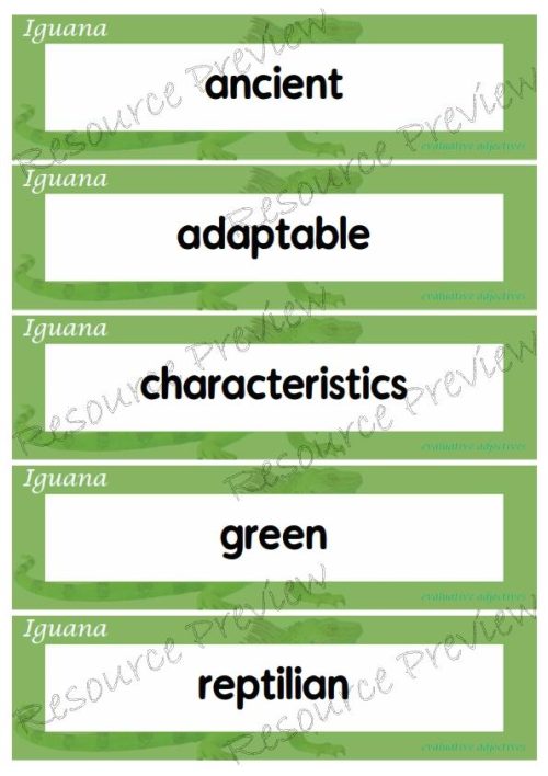 Evaluative adjectives - Iguana 35 words - Image 3