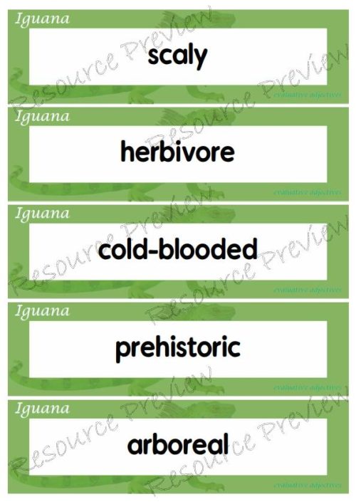 Evaluative adjectives - Iguana 35 words - Image 4