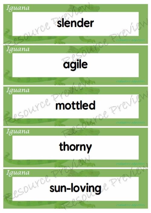 Evaluative adjectives - Iguana 35 words - Image 5