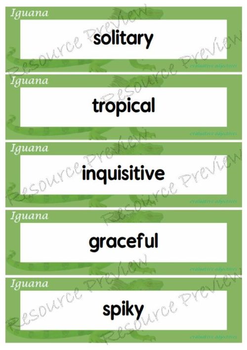 Evaluative adjectives - Iguana 35 words - Image 6