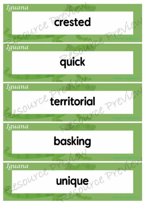 Evaluative adjectives - Iguana 35 words - Image 7
