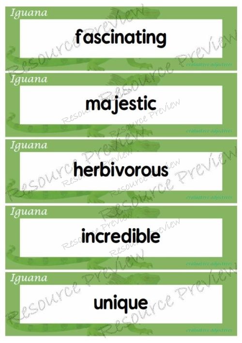 Evaluative adjectives - Iguana 35 words