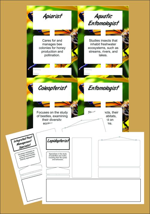 Exploring careers - entymology