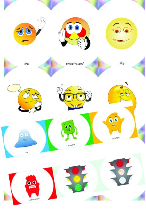 Regulation cards