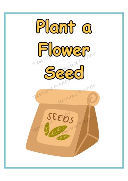 Exploring careers - junior - Florist - Image 2