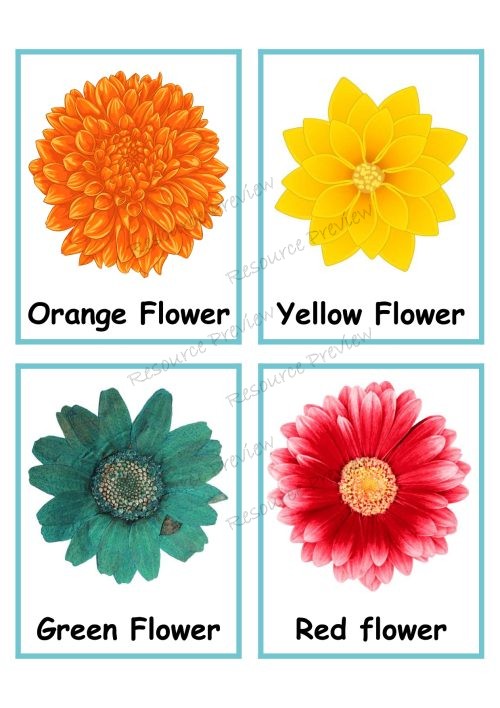 Exploring careers - junior - Florist - Image 5