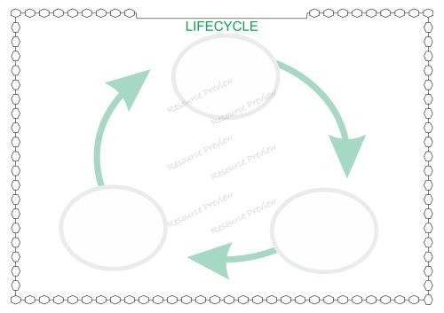 Lifecycle template blanks
