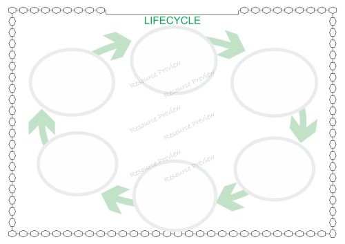Lifecycle template blanks - Image 2