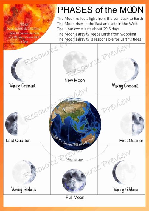 Phases of the Moon activity