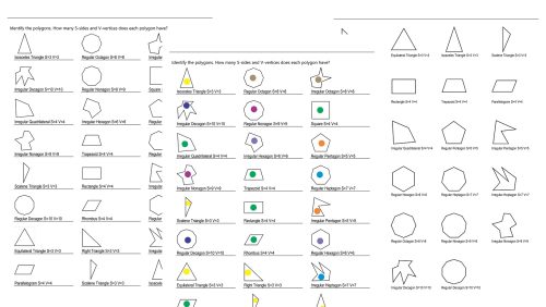 Polygon identifiers anchor